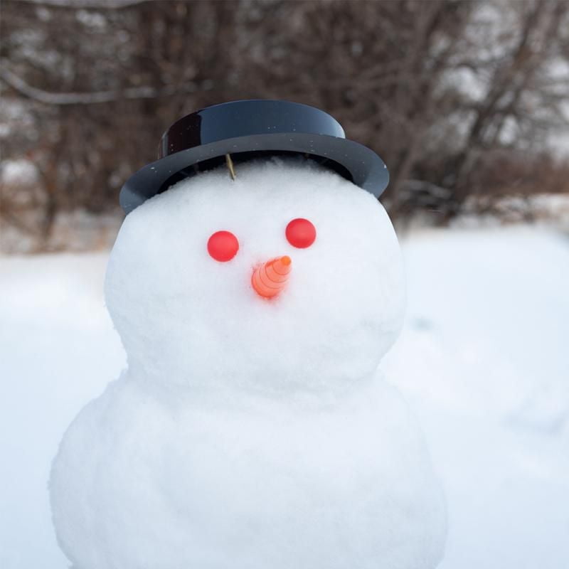 Le kit 'Faites un meilleur Bonhomme de neige' comprend toutes les pièces de l'homme de neige et 3 marqueurs à neige de couleurs différentes