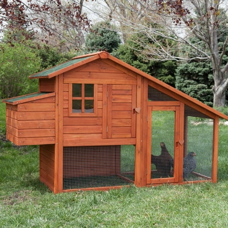 Boomer George Deluxe 4 Chicken Coop With Run