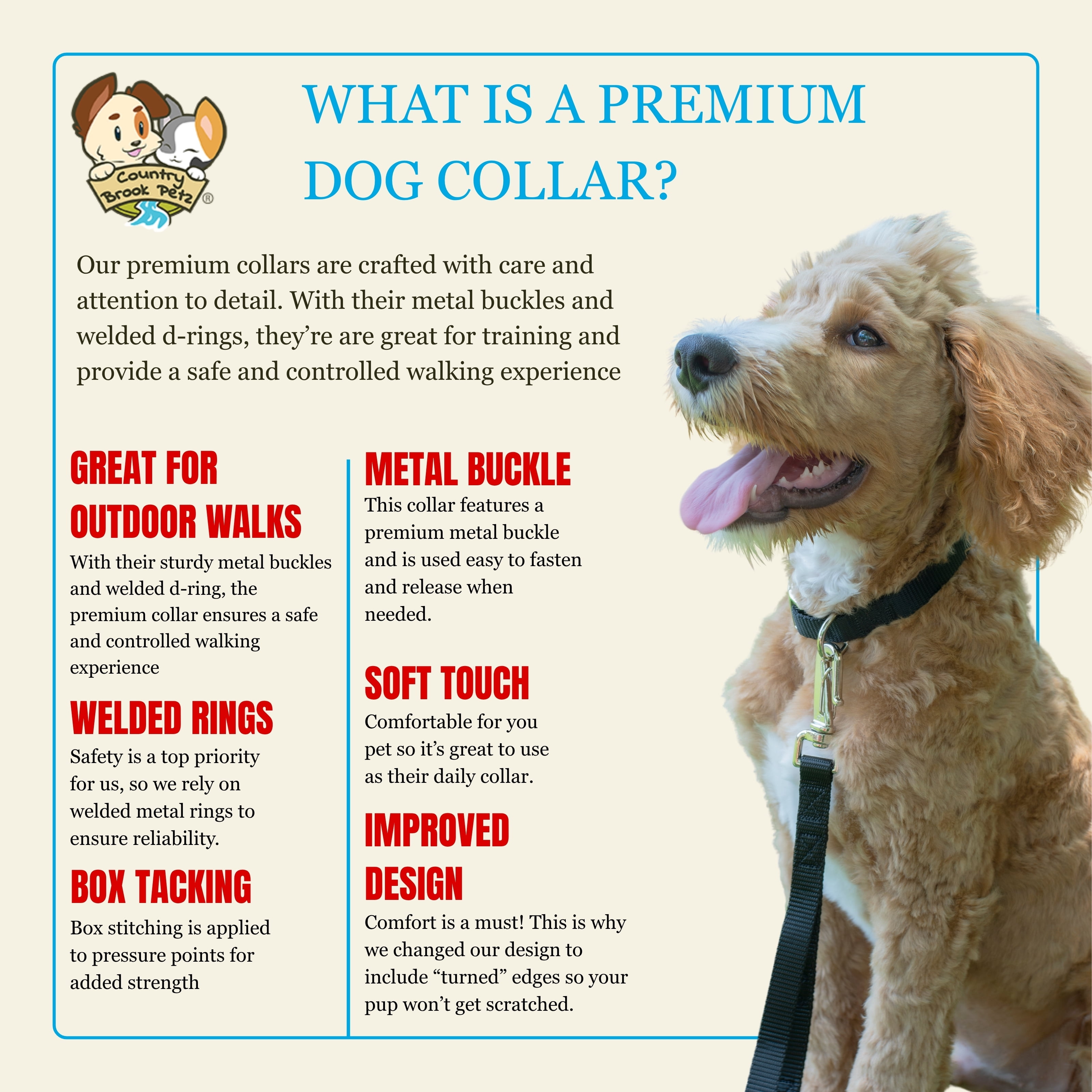 Country Brook Petz® Premium Nylon Dog Collar with Metal Buckle for Small Medium Large Breeds (Large, 1 Inch, Almond)