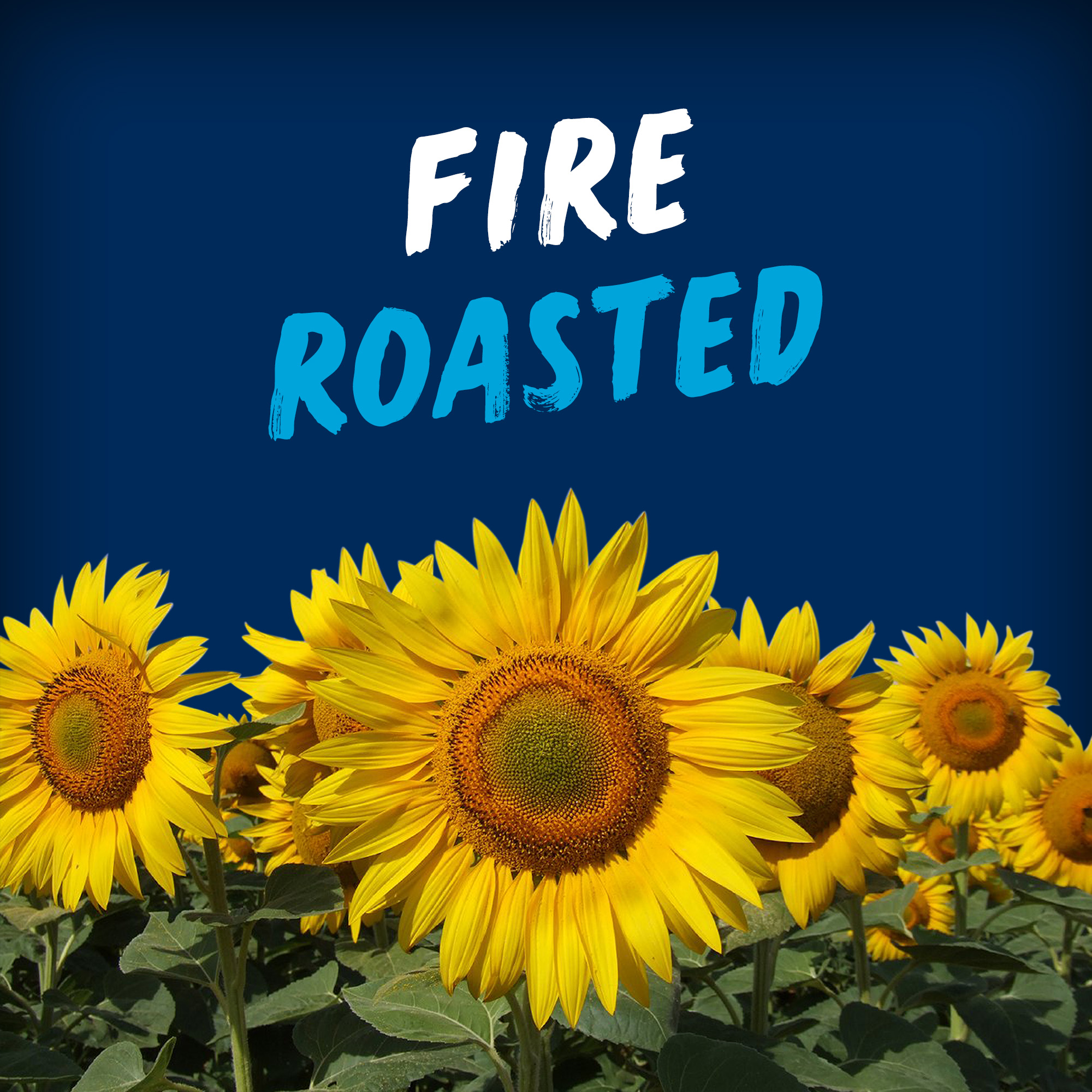 Graines de tournesol à saveur ranch piquante HIDDEN VALLEY BiGS - Teneur élevée en fibres – Sans colorants ni arômes artificiels