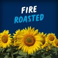 thumbnail image 4 of BiGS HIDDEN VALLEY Zesty Ranch Flavour Sunflower Seeds - High in Fibre - No Artificial Colours or Flavours, 4 of 9