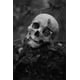 thumbnail image 1 of Dark Academia Art Skull Poster Prints para sala de estar, decoración del hogar, gótico Horror, blanco y negro, Cranium Canvas Painting Wall Art, 1 of 4