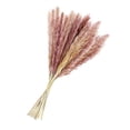 thumbnail image 3 of Bearachild 15 piezas de hierba de Pampa seca, exquisito adorno de planta Natural, decoración de ramo de interior, accesorio de caña seca para diseño de Kits de decoración para fiestas No.1 Bearachild HA035508-00, 3 of 6