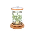 thumbnail image 1 of Fish Tank Fish Aquarium Fish Home Desktop Ecological Bottle Creative Office Tempered Glass Micro-Cylinder Rotating Bedroom Fish Tank Betta Mini Small Fish Tank, 1 of 1