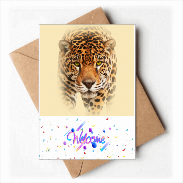 Cheetah Near Fierce Face Art Deco Fashion Welcome Back Greeting Cards Envelopes Blank