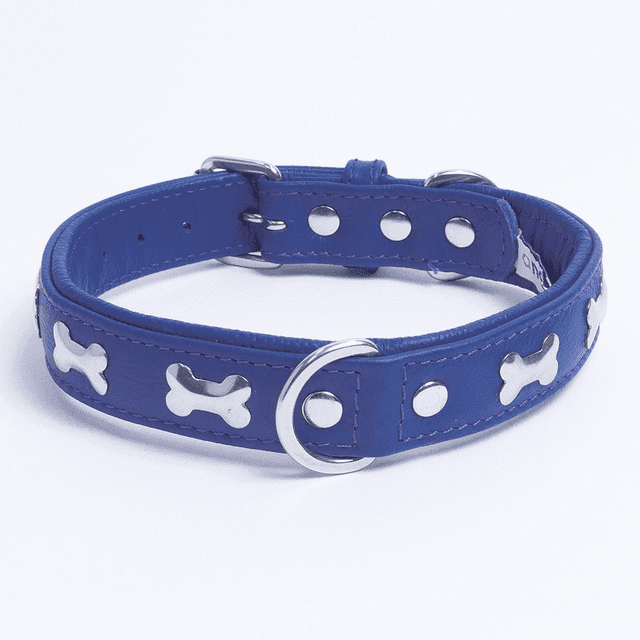 Os ROTTERDAM en Cuir pour Collier de Chien à une Rangée d'Os