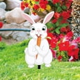 thumbnail image 5 of GZJCKJY Easter Garden Decorations Easter Egg Rabbit Ground Insert Decoration Acrylic Hollow Animal Figurines Yard Insert Garden Supplies, 5 of 8