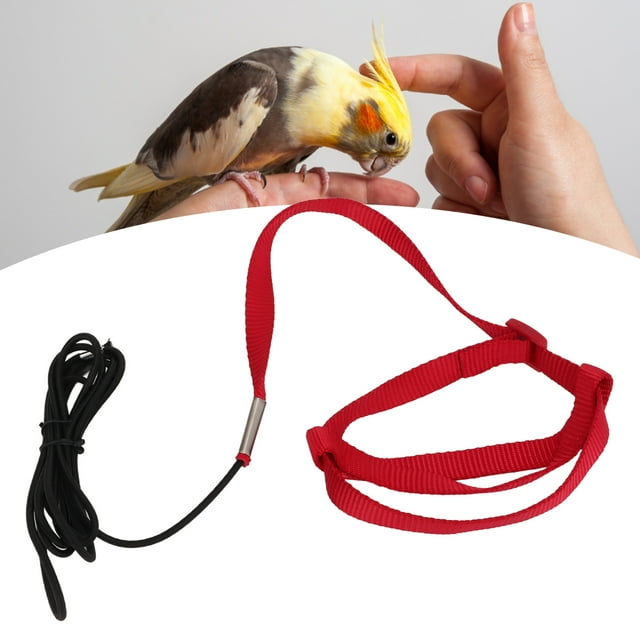 Correa para arnés de pájaros, correa para pájaros resistente a mordeduras, cuerda de tracción para pájaros, cuerda voladora, diseño de clase mundial