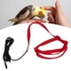 thumbnail image 5 of Correa Para Pájaros, Fácil De Abrochar, Resistente A Las Mordeduras, Cuerda Voladora Para Pájaros, Elástica Para Caminar Para Asistir A La Fiesta ANGGREK M rojo, 5 of 8