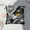 thumbnail image 2 of Orinice Owl Graphic Decorative Throw Pillow Cover for Home Couch Living Room Bed Sofa - High-Quality Cotton Linen Fabric - 1PC 18x18in, 2 of 5
