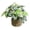 A, variant on Eolstice Artificial Potted Plants, Assorted Mini Faux Leaf Shrub In Straw Basket, Multi Style Small Tabletop Planter, For Indoor Shelf Desk Home Decorative Planter