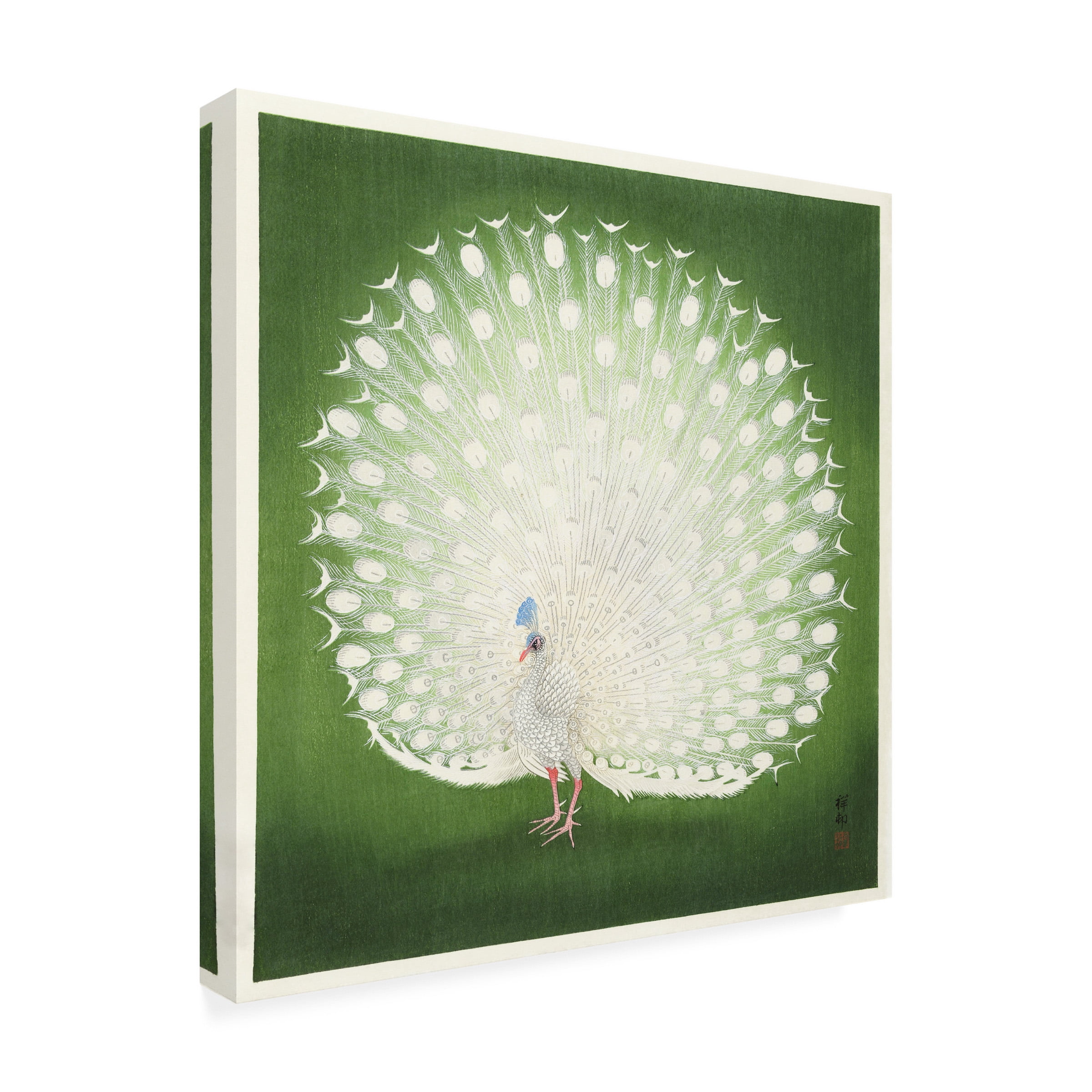 Pictufy 'Peacock' Canvas Art