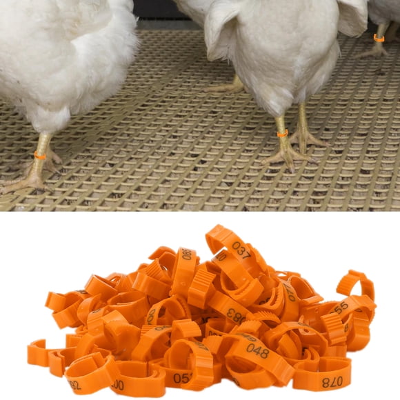 Anillos Para Patas De Pájaros De Pollo, Retráctiles Usados de Manera Flexible Anillos Para Patas De Pollo Hebilla De Identificación Con Números Para Exteriores Para Aves