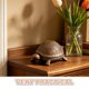 thumbnail image 3 of YSNOOWE Turtle Garden Statue Caja Para Llaves De Hierro Fundido Ideal Para Y Uso Exterior, 3 of 6