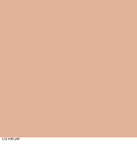 COVERGIRL Smoothers Lightweight BB Cream Light to Medium 810 1.35 oz