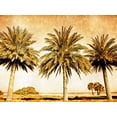 thumbnail image 2 of Nall, Skip 24x19 Black Ornate Wood Framed with Double Matting Museum Art Print Titled - Palms on Brown II, 2 of 4