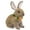 Brown, variant on Northlight Boy Easter Rabbit Figurine with Plaid Jacket - 12" - Beige