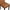 Retro Brown, variant on Topeakmart 2pcs Tufted Padded Faux Leather Dining Chair Kitchen Chair with Solid Wood Legs, Retro Brown(