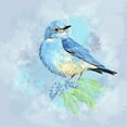 thumbnail image 2 of CafePress - Watercolor Bluebird Blue Bird Art Body Suit - Baby Light Bodysuit, Size Newborn - 24 Months, 2 of 4