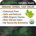 thumbnail image 4 of 100% Organic Henna Hair Color – Natural, Chemical-Free Hair Dye for Rich, Vibrant Color & Gloss – Grey Coverage, Safe for All Hair Types, Vegan Non-Toxic, Herbal Hair Treatment (NATURAL BLACK), 4 of 7