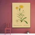 thumbnail image 3 of Póster de ilustración botánica, carteles de Papel Kraft de hojas de plantas y flores, decoración Vintage para el hogar, habitación, Bar, cafetería, arte estético, pintura de pared, 3 of 4