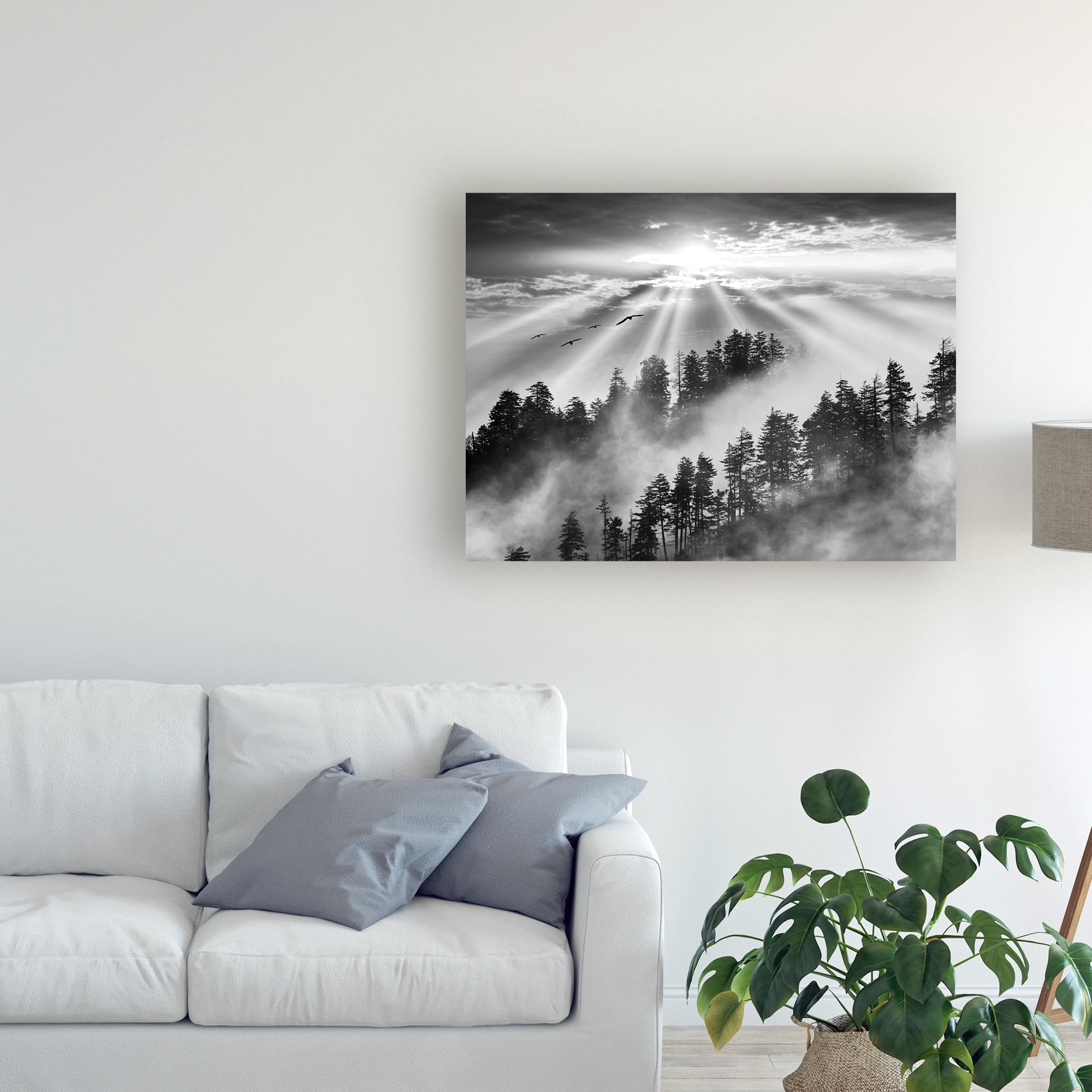 Trademark Fine Art 'Smoky Mountain Sunrise Tennessee Black And White' Canvas Art by Monte Nagler
