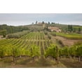 thumbnail image 2 of Eggers, Julie 32x23 White Modern Wood Framed Museum Art Print Titled - Italy-Tuscany Rows of grape vines in a vineyard in Tuscany, 2 of 4
