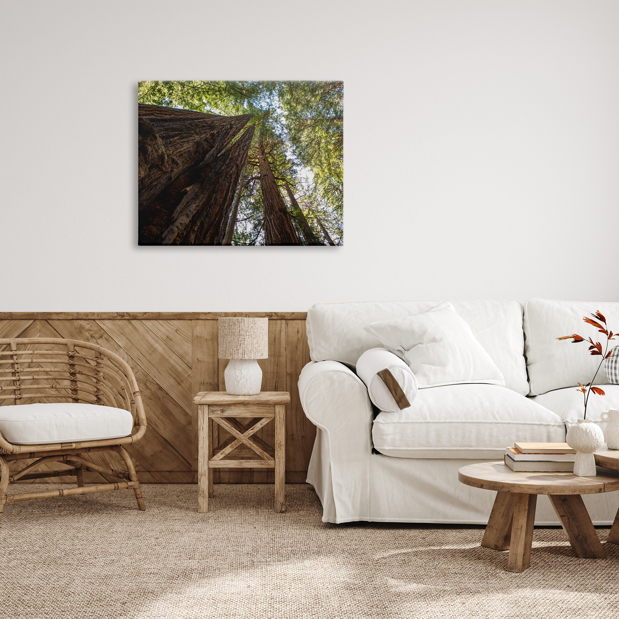 Stupell Indtries Tall Trees Looking Upwards Nature Forest Photography,40 x 30,Design by Aaron Matheson