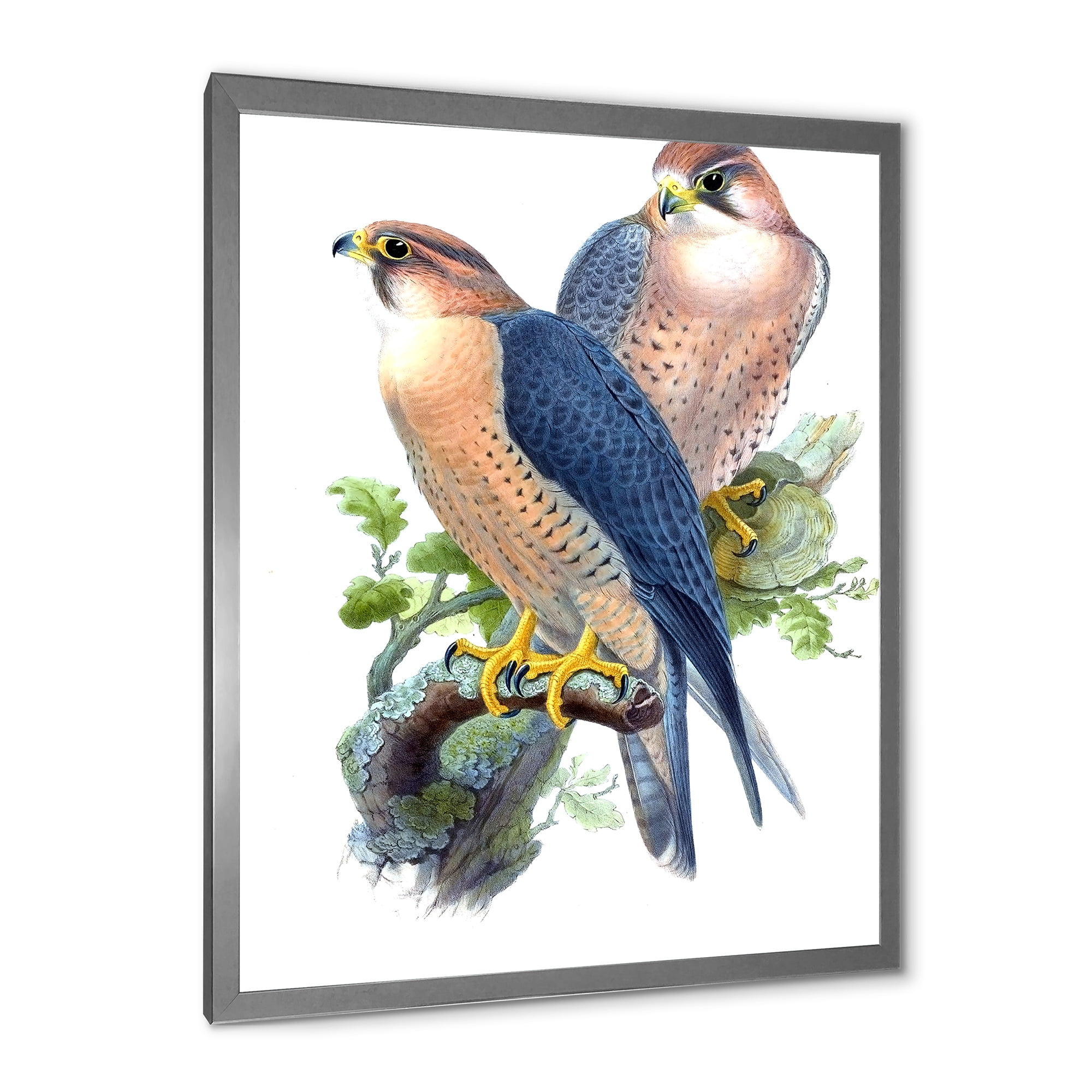 Designart 'Ancient Birds II' Traditional Framed Art Print