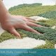 thumbnail image 3 of 1 PCS Bathroom Rugs - 31.5 X 19.5IN Bath Mat Green Leaves Microfiber Strong Water Absorbent Non Slip Back Cute Rug for Bathroom, 3 of 4