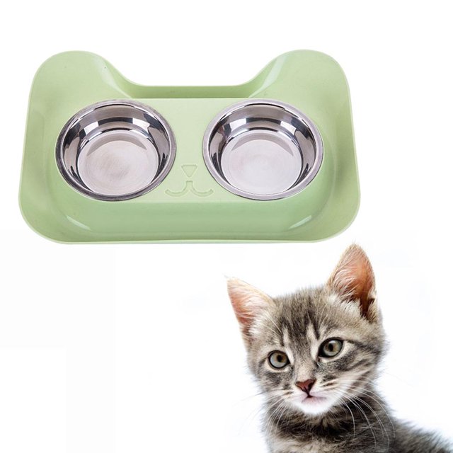 para perros y , tazón de alimentación de PP para mascotas con soporte, de comedor para mascotas, comedero para para , - Verde Salvador Comedero para gatos