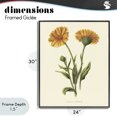 thumbnail image 4 of Stupell Industries Traditional Twin Marigold Blooms Black Framed Giclee Art, 24 x 30, by Connie Resch, 4 of 8