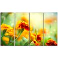 thumbnail image 2 of Orange Tagetes Fleurs de Souci - Impression sur Toile Florale, 2 of 3