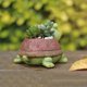 thumbnail image 4 of 2 macetas para suculentas con forma de tortuga, decorativas, de resina, para bonsái, para el hogar y la oficina, color verde., 4 of 5