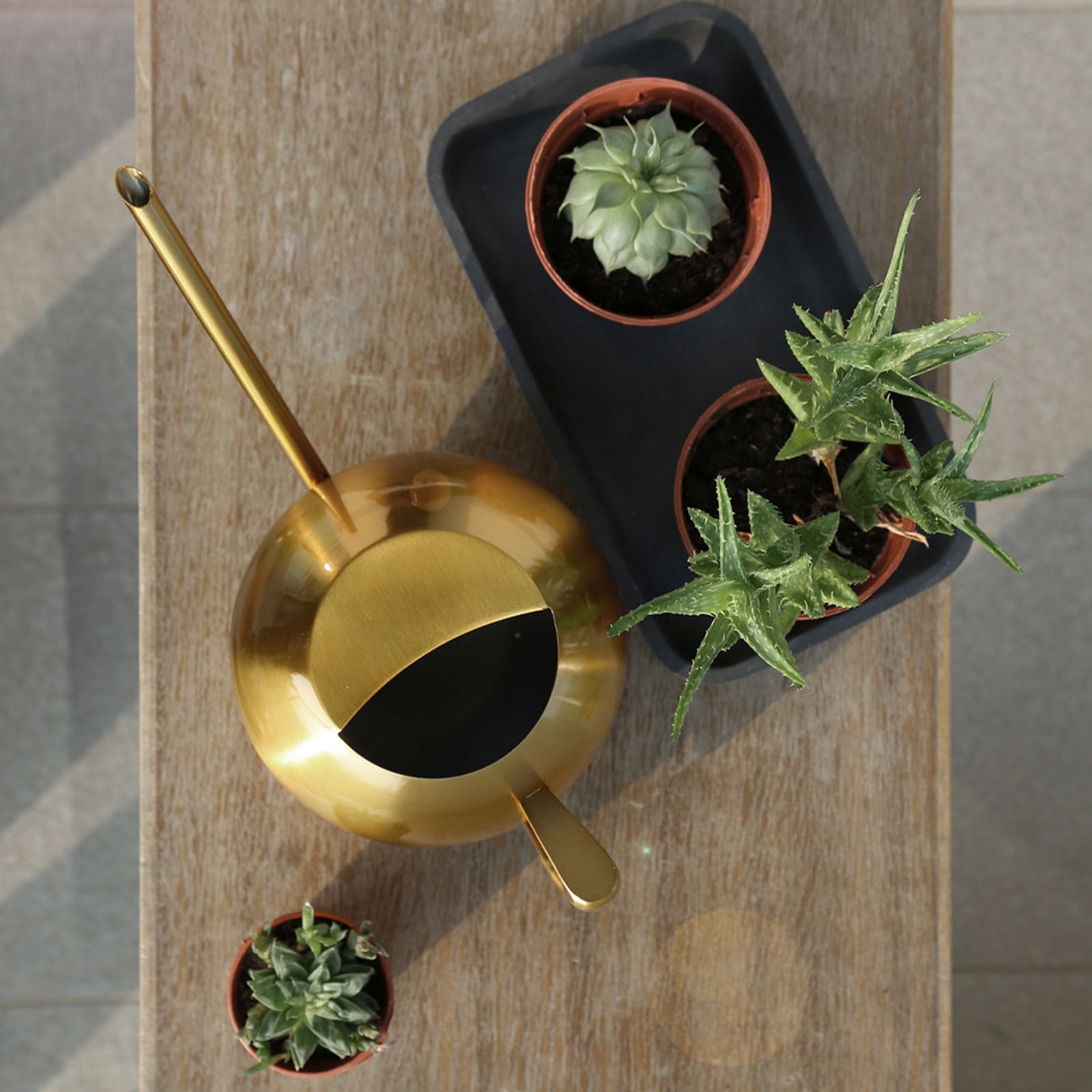 Jubipavy Stainless Steel Watering Can - 1L Metal Watering Can With Long Spout To Spillage Perfect Plant Watering Can For Outdoor And Indoor Plants Gift Home Saving