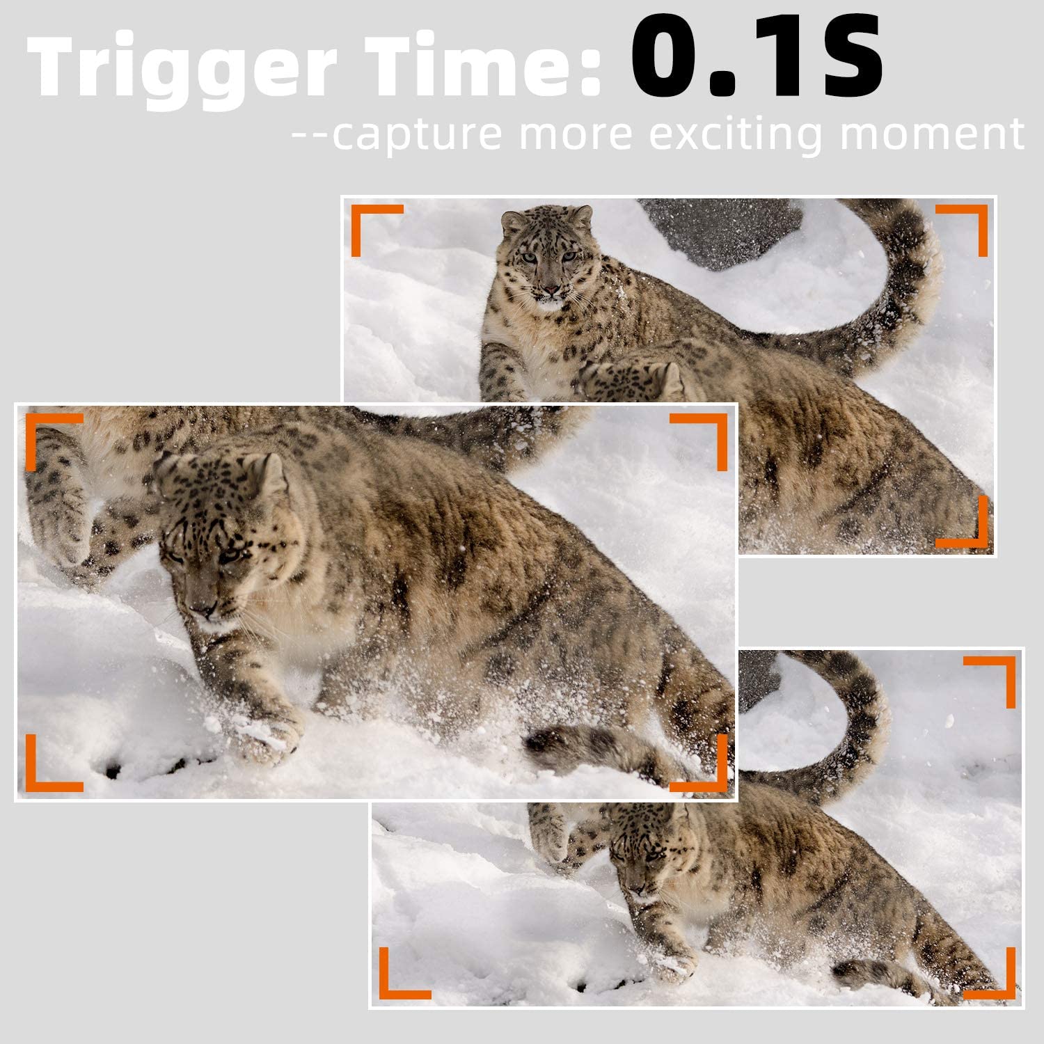 2-Pack No Glow Game & Deer Trail Cameras 24MP 1296P H.264 Video 100ft Night Vision Motion Activated 0.1S Trigger Speed Waterproof Farm & Yard Cameras for Home Surveillance & Outdoor Wildlife Hunting