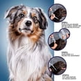 thumbnail image 4 of New 38/70CM Pet Anti Flea Ticks Antiparasitic Cats Collar Dog Protection Retractable Collars For Puppy Cat Large Dogs Accessorie ShopWise Round, 4 of 12