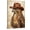 Frame-style, variant on Western Cowboy Hawk Canvas Wall Art Painting, Unique Bird of Prey Artwork for Living Room Bedroom, Rustic Animal Wall Decor Home Decoration Poster for Man Cave Gift