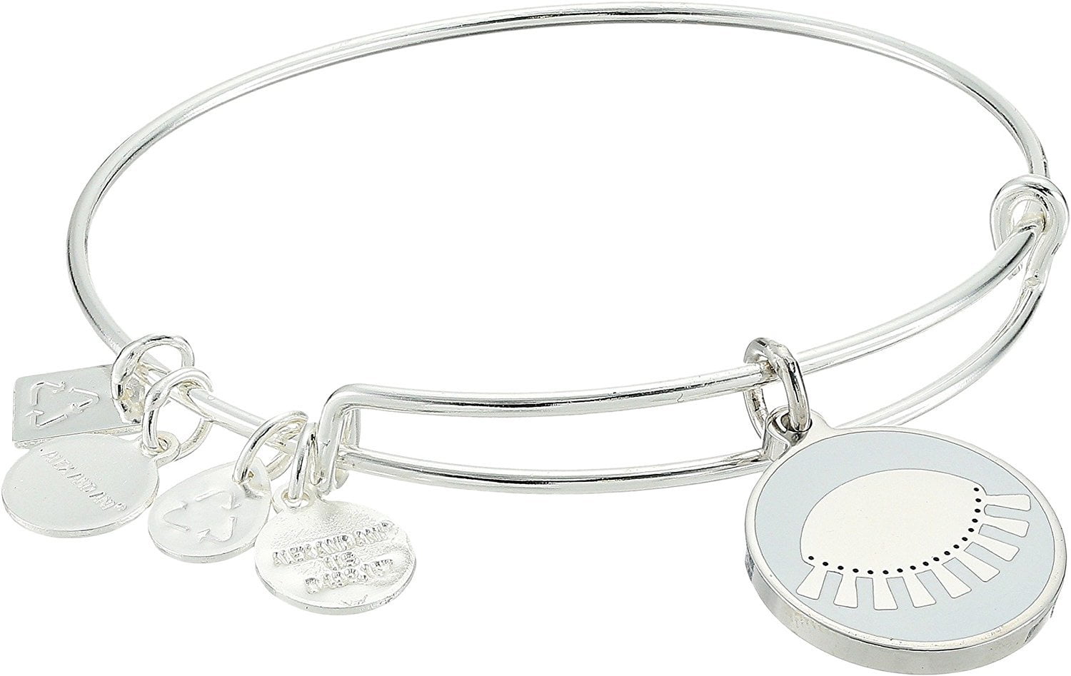 Alex and Ani Women's Color Infusion, Cobra Bangle Rose Gold One Size Alex and Ani Women\u0027s Color Infusion Avocado Compass Expandable Bangle  Bracelet