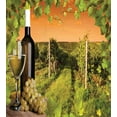 thumbnail image 3 of Winery Duvet Cover Set, Bottle and Glass of Wine and Vineyards of Sunset Countryside Romantic Evening View, Decorative 3 Piece Bedding Set with 2 Pillow Shams, Queen Size, Green Orange, by Ambesonne, 3 of 3