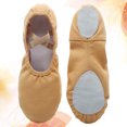 thumbnail image 2 of 1 par de zapatos de yoga sin cordones, zapatos de baile de suela suave, zapatos de ballet transpirables para niños, adultos, talla 24, 2 of 3