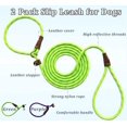 thumbnail image 2 of shiyou-2 Pcs 8 ft Slip Lead Dog Leash, Reflective No Pull Training Lead, 1/3" Nylon Rope Slip Leash for Small Medium Dogs (Purple+Green), 2 of 4