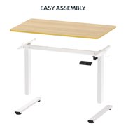 FLEXISPOT 48 x 30 Home Office Electric Height Adjustable Standing Desk Memory Programmable Presets Computer Desk White and Maple