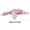 🔥 Multicolor, variant on Sentmoon Plush Toys for Kids Stuffed Animals for Girls White Soft Hugging Stuffed Toy for Kids and Adults Cozy Body for Sleeping Sofa Deco and Gift