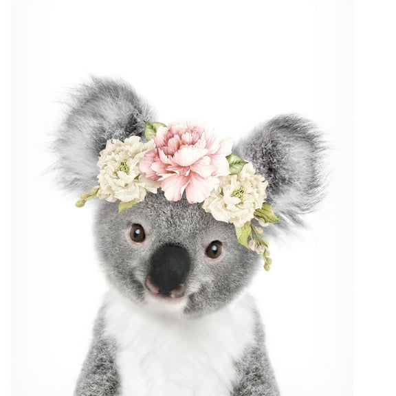 Trademark Fine Art Lola Peacock Floral Baby Koala Canvas Wall Art