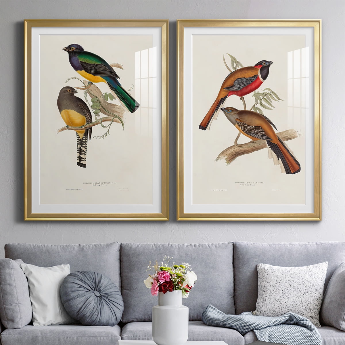 Wexford Home Elegant Trogons III Premium Framed Print, 26.5" x 36.5" - Ready to Hang, Gold (Set of 2)