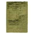 thumbnail image 1 of Chandra Naya Shag Indoor Area Rug, 1 of 11