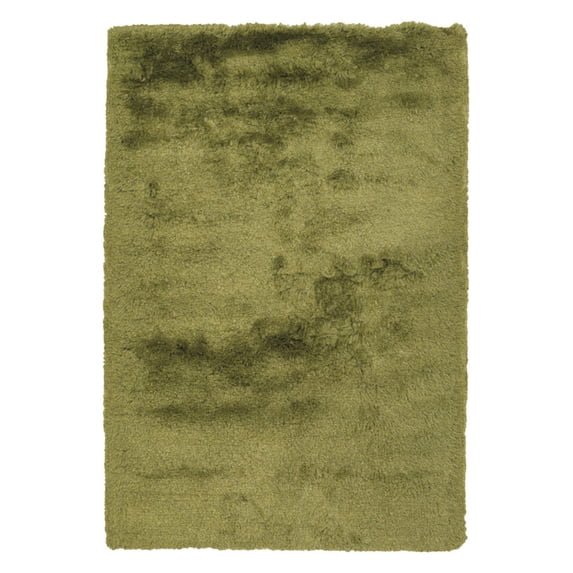 Chandra Naya Shag Indoor Area Rug