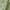 Green, variant on Regency Heights Full/Queen White Quilt Sets, Waffle Weave Textured 3-Piece Comforter Set All Season
