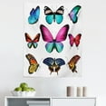 thumbnail image 1 of Nature Tapestry, Vibrant Butterflies Flying in the Spring Season Nature Colorful Wings Composition, Fabric Wall Hanging Decor for Bedroom Living Room Dorm, 5 Sizes, Multicolor, by Ambesonne, 1 of 1